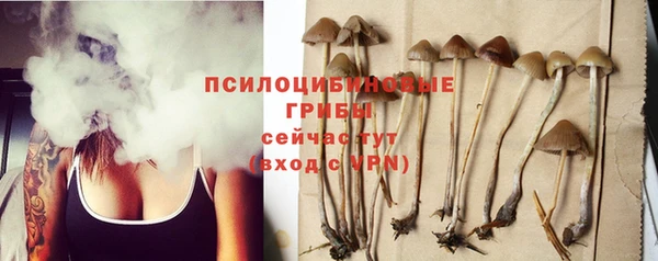 PSILOCYBIN Богородицк